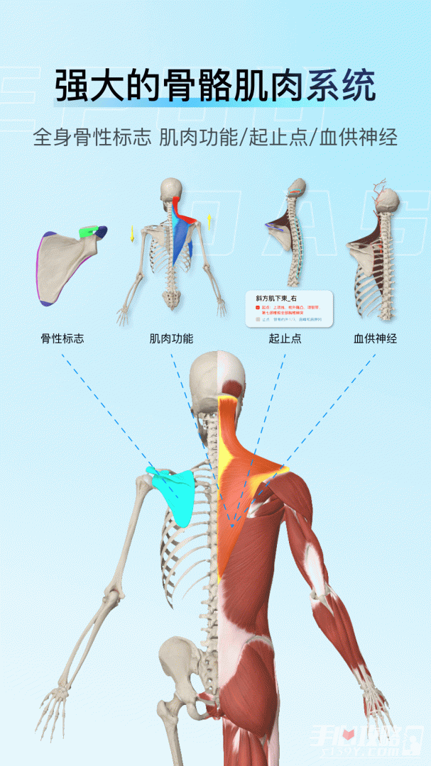 解剖大师 截图